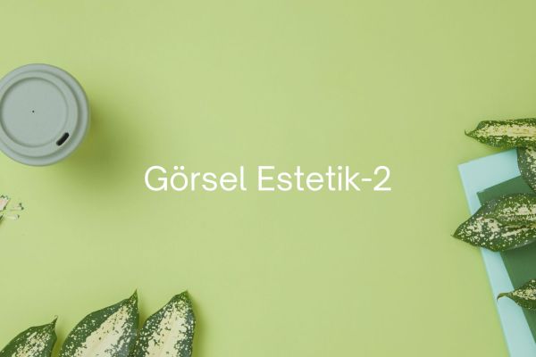 ESTETİK KAVRAMSAL BAKIŞ AÇISI-2